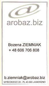doradztwo w komunikacji marketingowej i biznesowej, tłumaczenia z języka polskiego na język francuski
